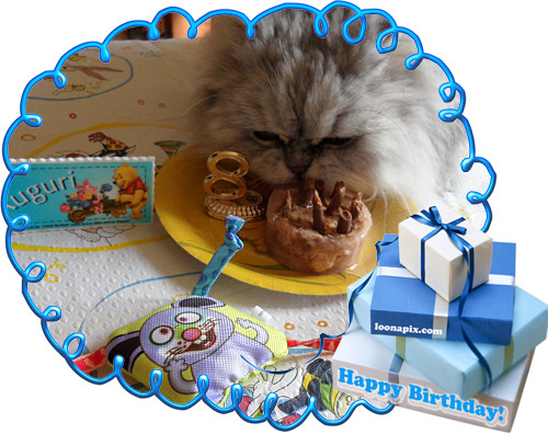 funny photo frames